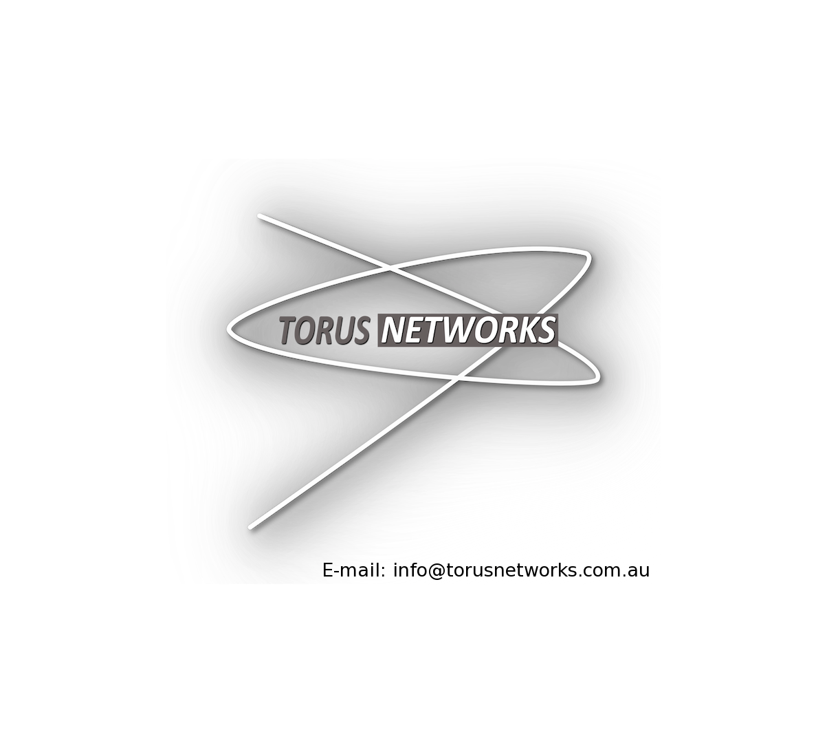 Torusnetworks logo